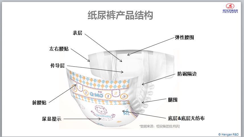 尿不湿结构图解图片